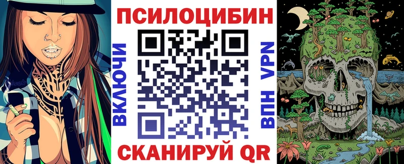 blacksprut онион  Унеча  Псилоцибиновые грибы GOLDEN TEACHER 