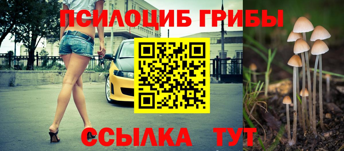 Псилоцибиновые грибы Psilocybe Унеча